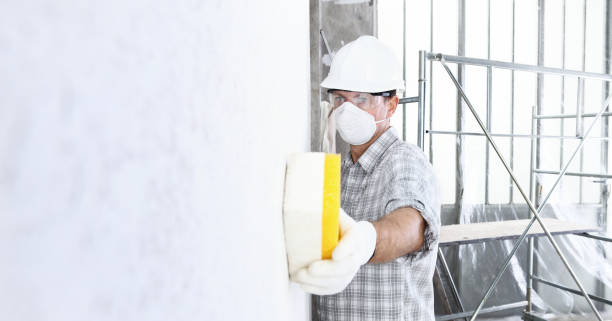 Mold Remediation for Rental Properties in Countryside, IL