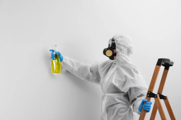 Best Residential Mold Inspection & Testing  in Countryside, IL