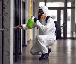 Best Mold Removal for HVAC Installations  in Countryside, IL